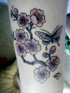 cherry blossom and butterfly tattoo